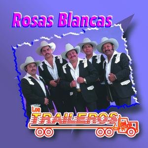 Rosas Blancas