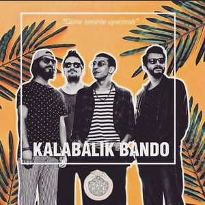 Kalabalık Bando 的头像
