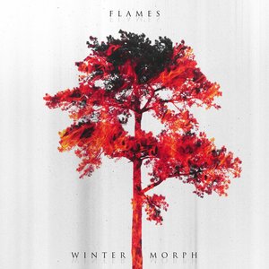 Flames