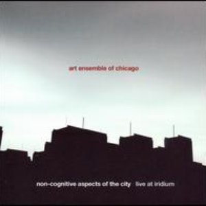 Non-Cognitive Aspects Of The City - Live at Iridium