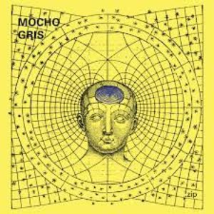 Mocho Gris