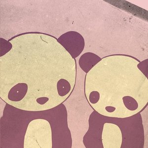 Avatar for Coy Panda