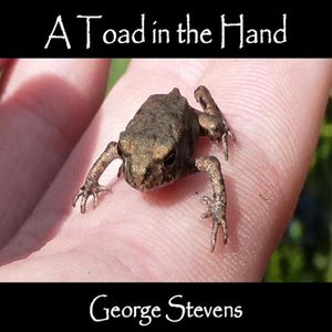 A Toad in the Hand