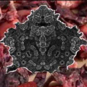 Rotten Redolence 的头像