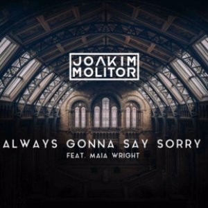 Always Gonna Say Sorry (feat. Maia Wright)