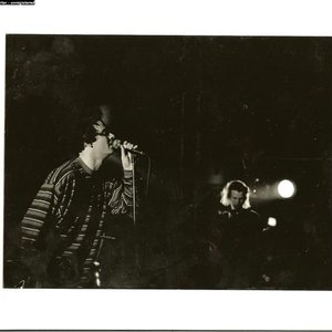 the Honey Buzzards 的头像