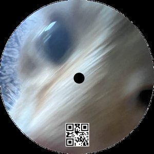 Evaluation (Abnormal Remix) [Explicit]