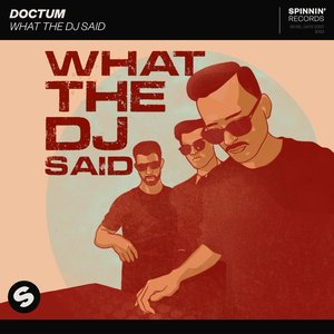 What The DJ Said - Single