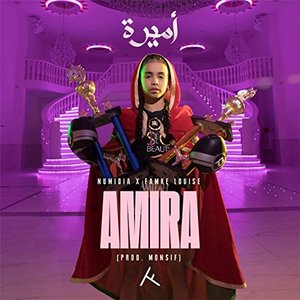 Amira