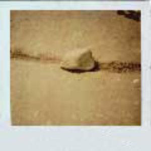 Polaroid