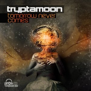 'tryptamoon'の画像