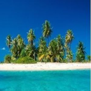 Paradisio