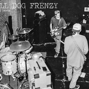 Small Dog Frenzy 的头像