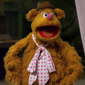 Fozzie Bear photo provided by Last.fm