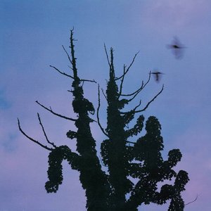 木盤