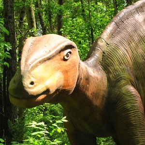 Avatar de Iguanodon