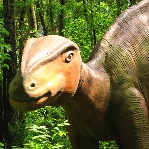 Iguanodon 的头像