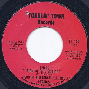 South Suburban Electric Strings 的头像