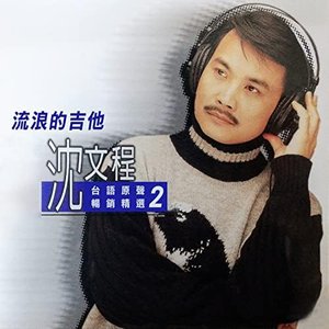 流浪的吉他 (沈文程台語原聲暢銷精選2)