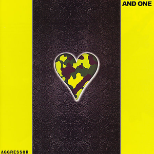 Aggressor cover