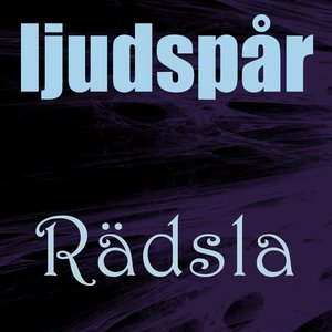 Ljudspår