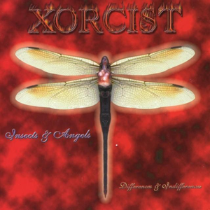 Insects & Angels cover