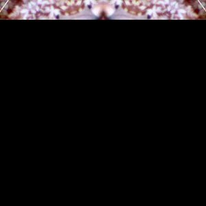 The Underside
