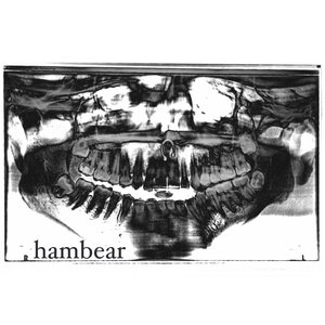 mandible
