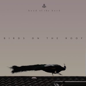 Birds On The Roof