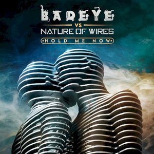 Hold Me Now (Nature of Wires remix)