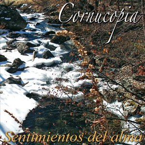 Sentimientos del alma