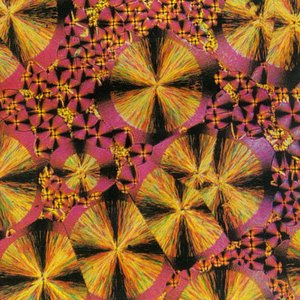 Hypnotic Gyre