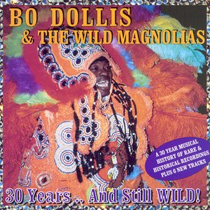 “Bo Dollis & the Wild Magnolias”的封面