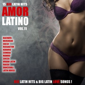 Amor Latino, Vol. 11 - 15 Big Latin Hits & Latin Love Songs (Bachata, Merengue, Salsa, Reggaeton, Kuduro, Mambo, Cumbia, Urbano, Ragga)