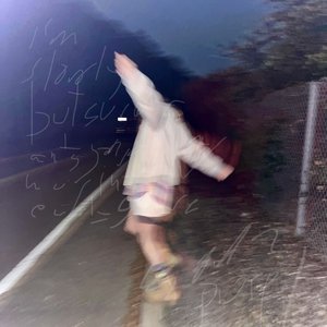 i'm slowly but surely antagonizing my way into an early grave [Explicit]