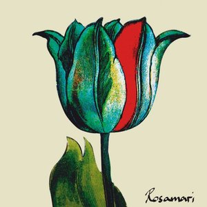 “Rosamari”的封面