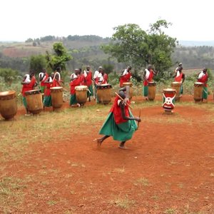 The Royal Drummers 的头像