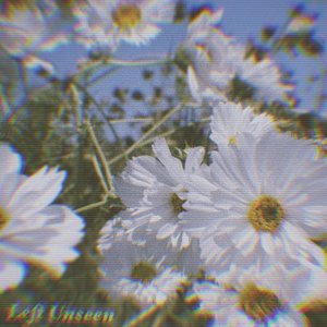 Left Unseen - Single