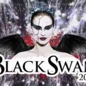 Black Swan 2013