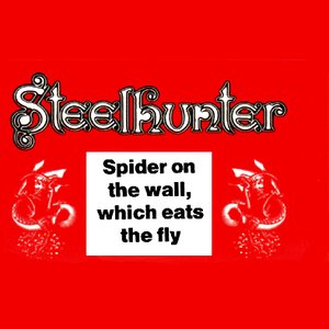 Spider On The Wall, Which Eats The Fly