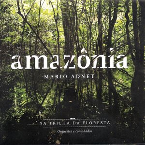 Amazônia, Na Trilha da Floresta