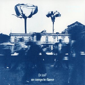 Un Campo de Flores