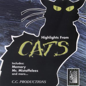 Highlights From Cats