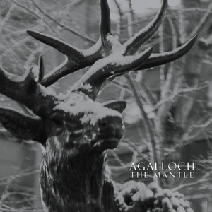 Agalloch Lyrics, Song Meanings, Videos, Full Albums & Bios | SonicHits