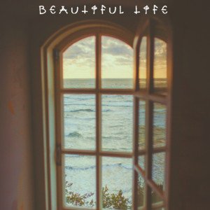 Beautiful Life
