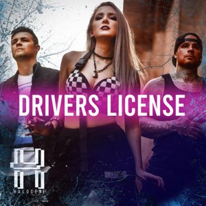 Drivers License - Single