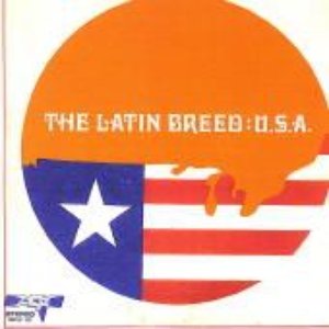 Latin Breed USA