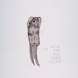 Milo The Dog Sees Color