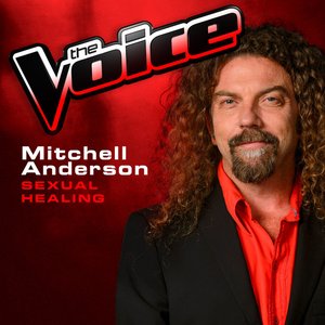 Sexual Healing (The Voice 2013 Performance) - Single