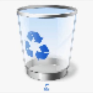 Recycle Bin
